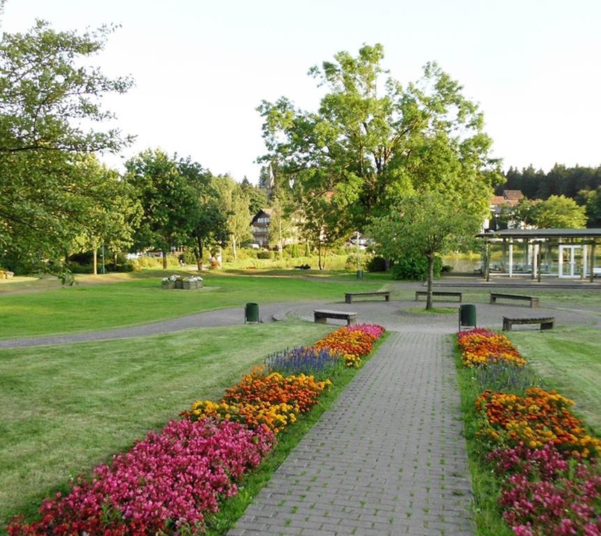 Premium-Ferienwohnungen Bergblick Im Haus Hopfe Goslar Extérieur photo