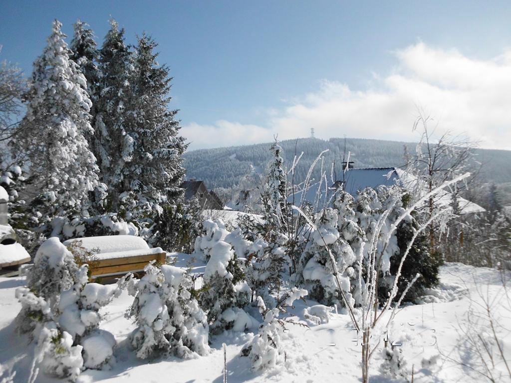 Premium-Ferienwohnungen Bergblick Im Haus Hopfe Goslar Extérieur photo