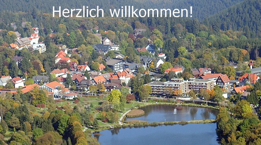 Premium-Ferienwohnungen Bergblick Im Haus Hopfe Goslar Extérieur photo